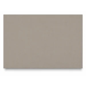 Fossil Taupe